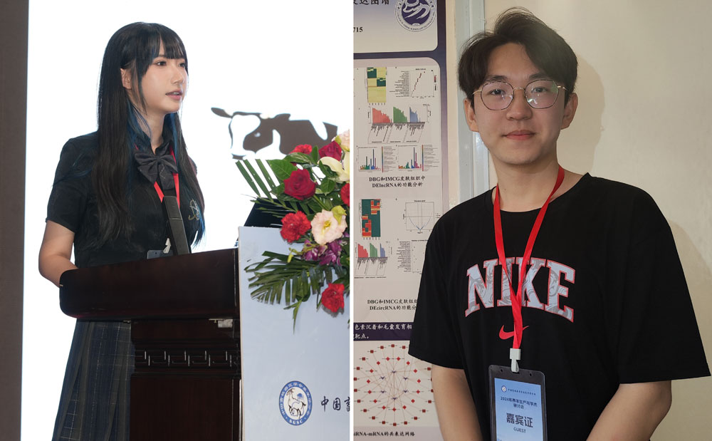 pa视讯官方集团