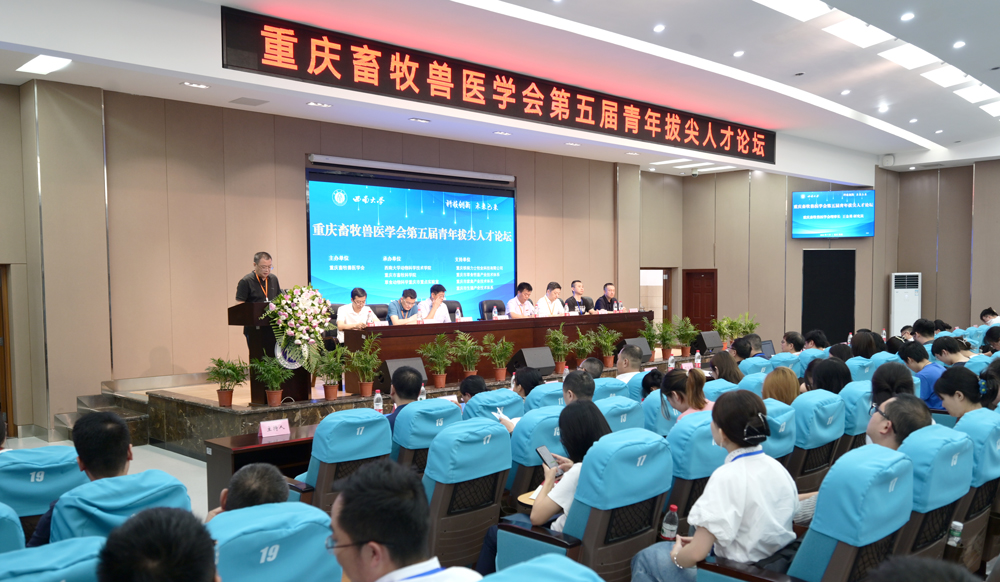 pa视讯官方集团