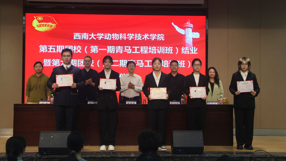 pa视讯官方集团