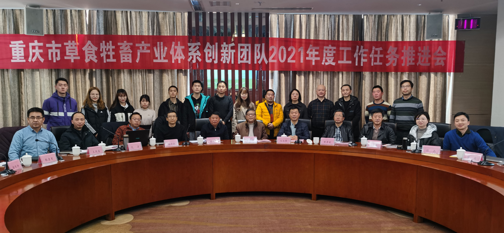 pa视讯官方集团