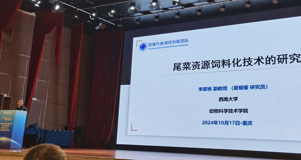 pa视讯官方集团