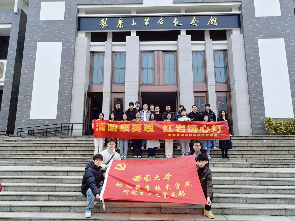 pa视讯官方集团