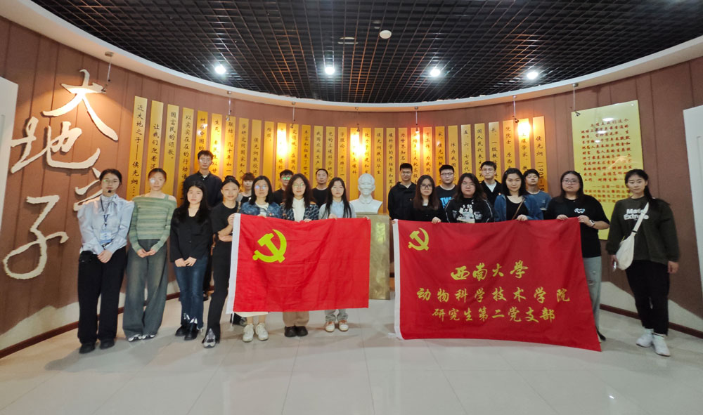 pa视讯官方集团