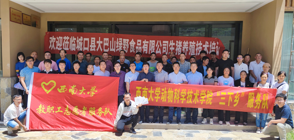 pa视讯官方集团