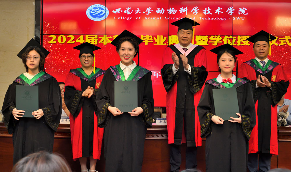 pa视讯官方集团