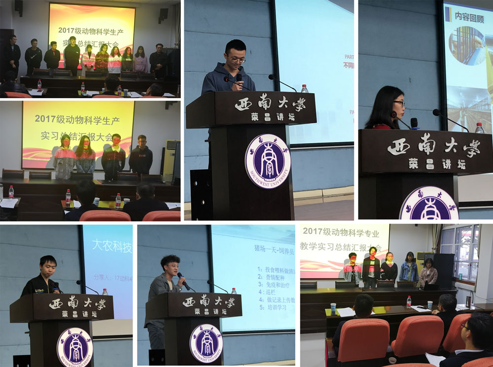 pa视讯官方集团