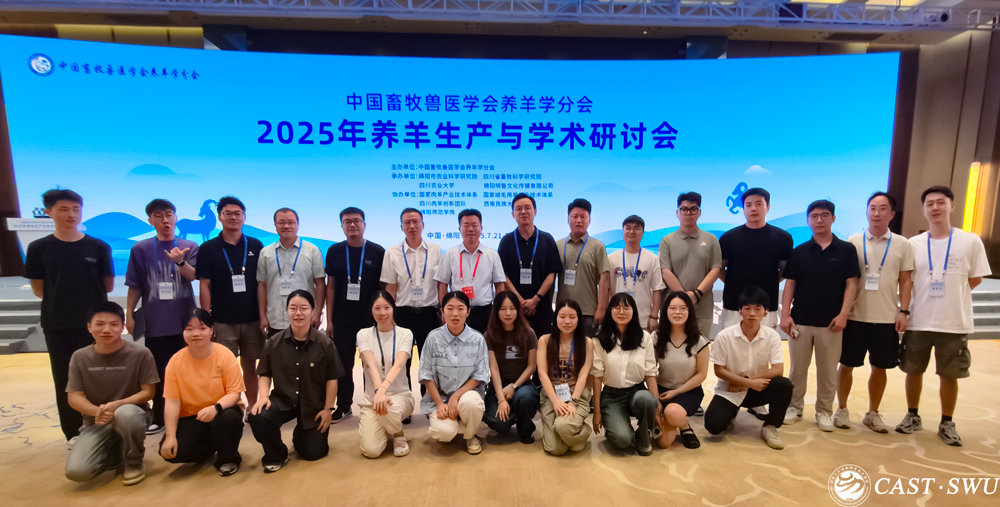 pa视讯官方集团