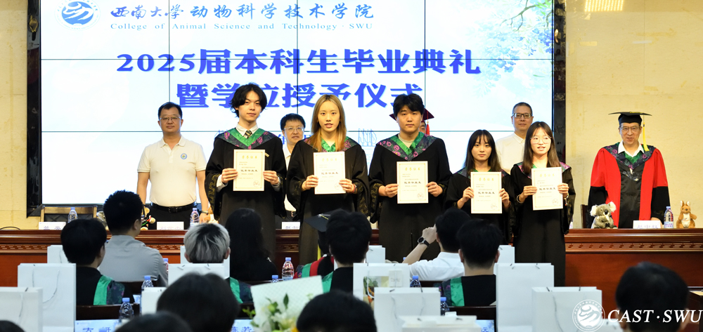 pa视讯官方集团