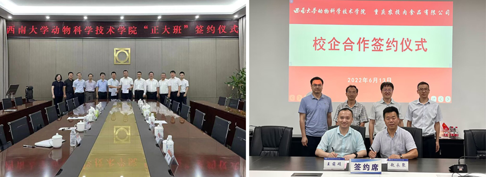 pa视讯官方集团