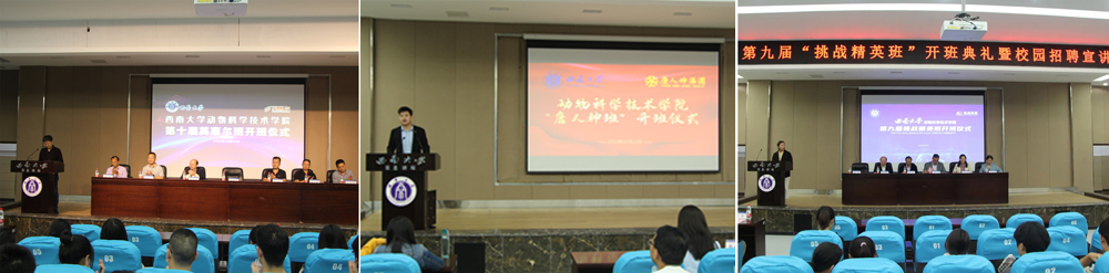 pa视讯官方集团