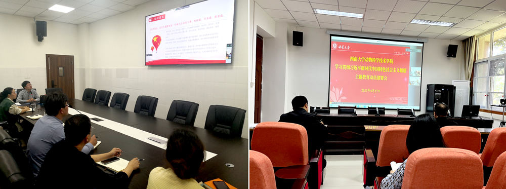 pa视讯官方集团