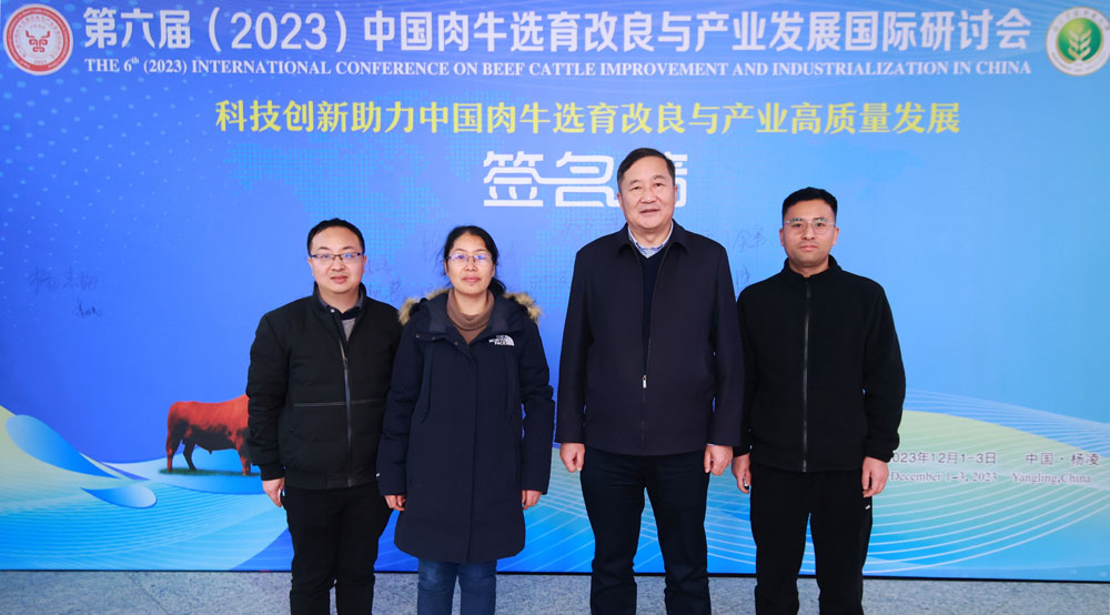 pa视讯官方集团