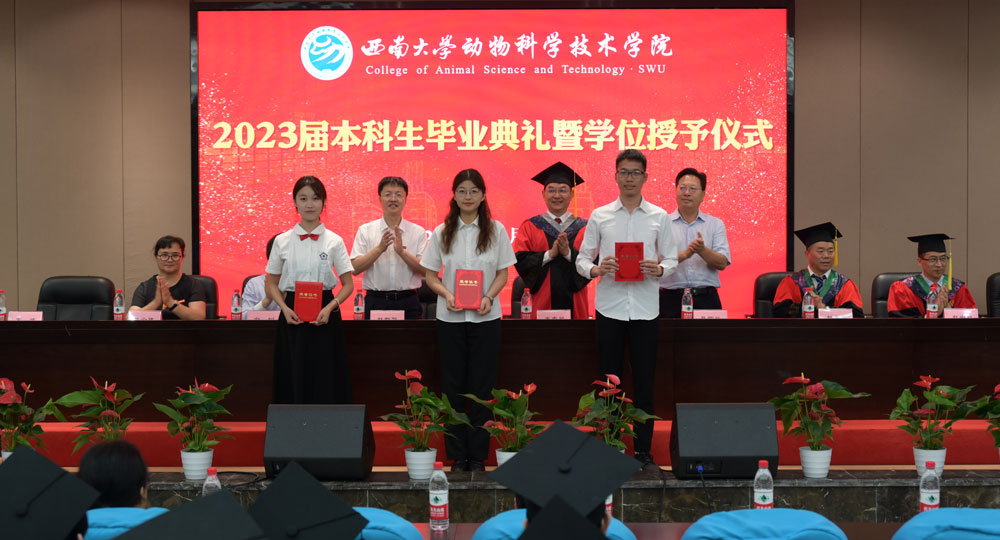 pa视讯官方集团