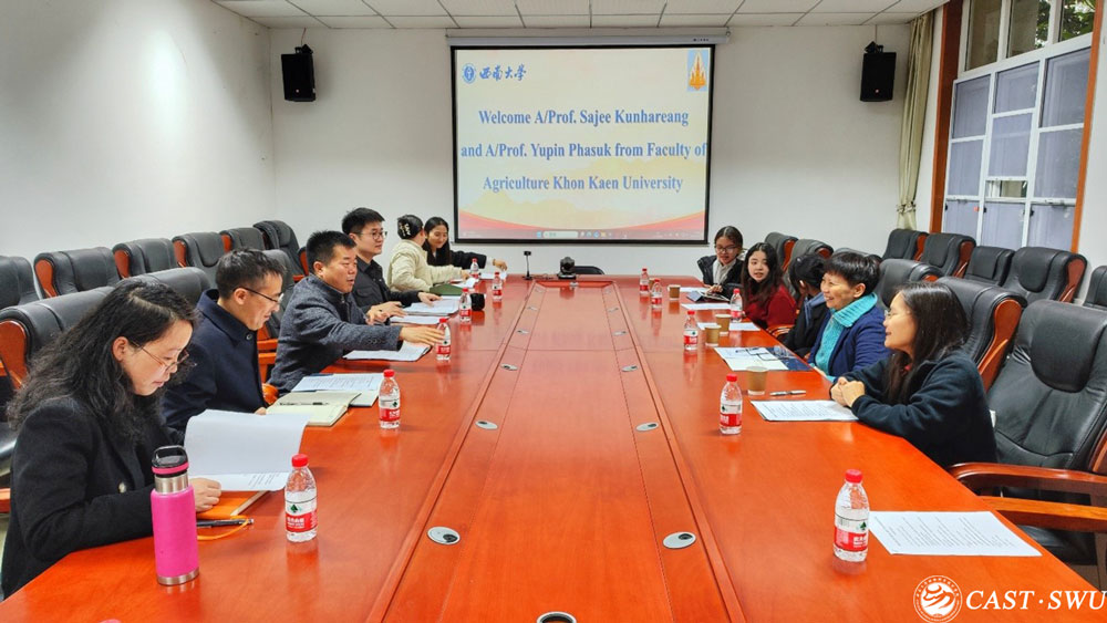 pa视讯官方集团