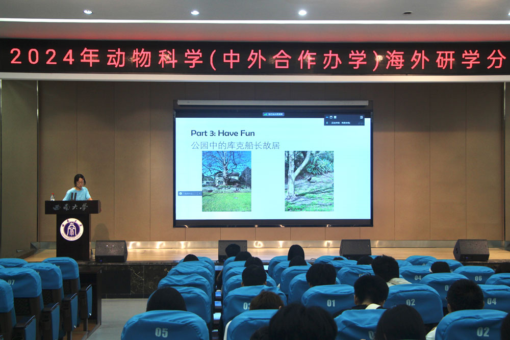 pa视讯官方集团