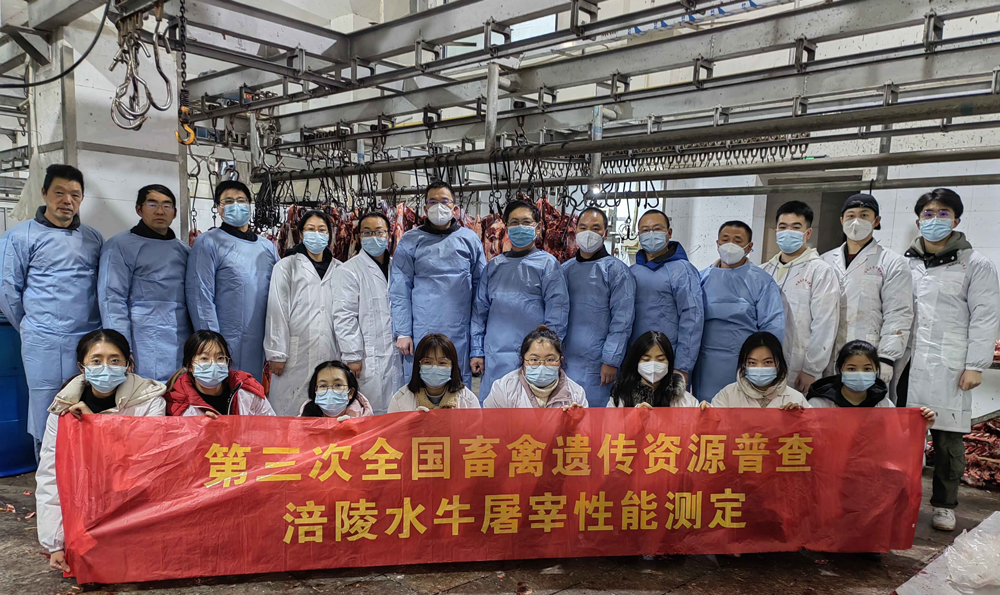 pa视讯官方集团