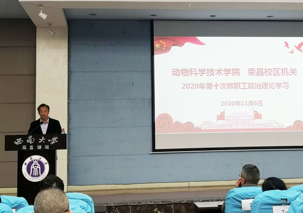 pa视讯官方集团