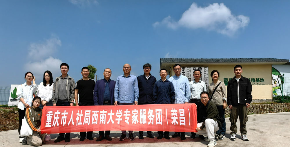 pa视讯官方集团