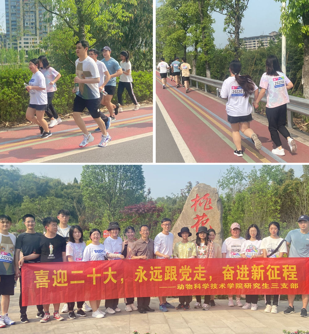 pa视讯官方集团