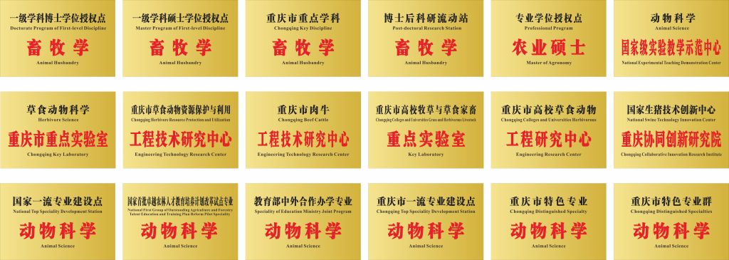 pa视讯官方集团