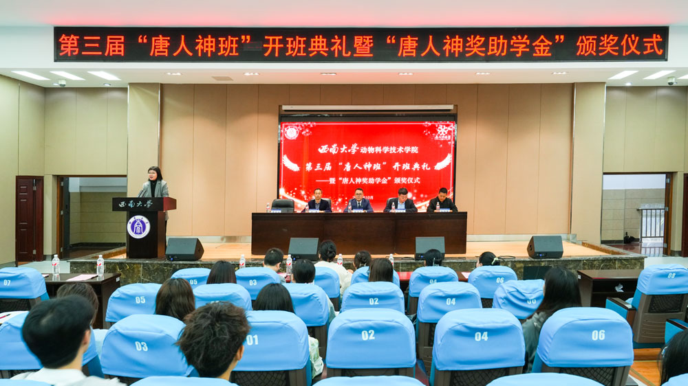 pa视讯官方集团