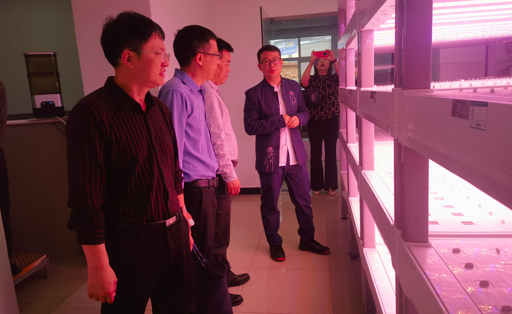 pa视讯官方集团