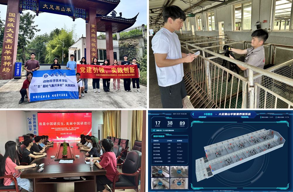 pa视讯官方集团