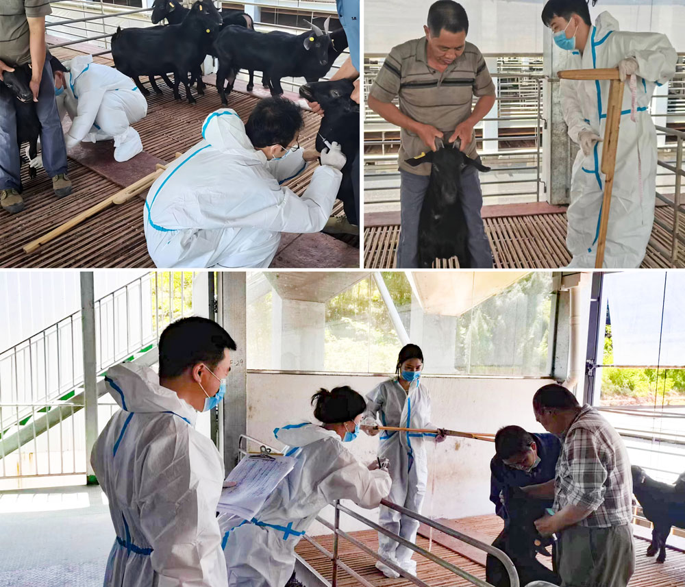 pa视讯官方集团