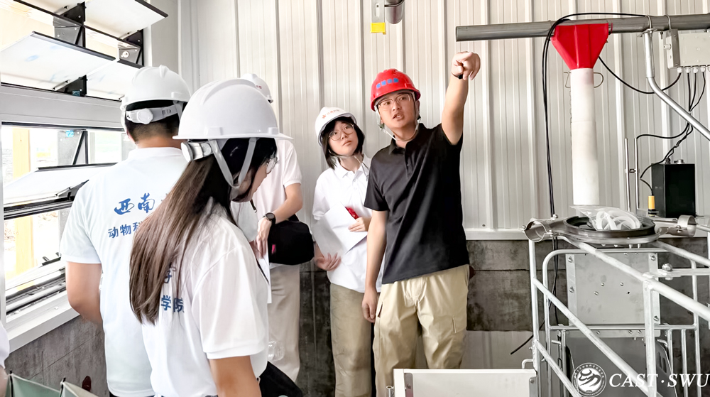 pa视讯官方集团