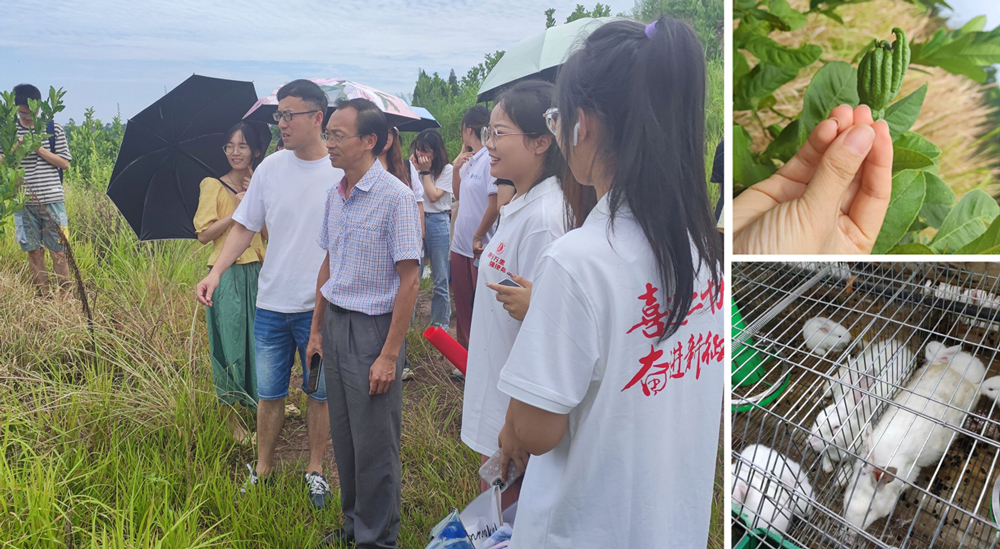pa视讯官方集团