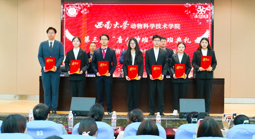 pa视讯官方集团