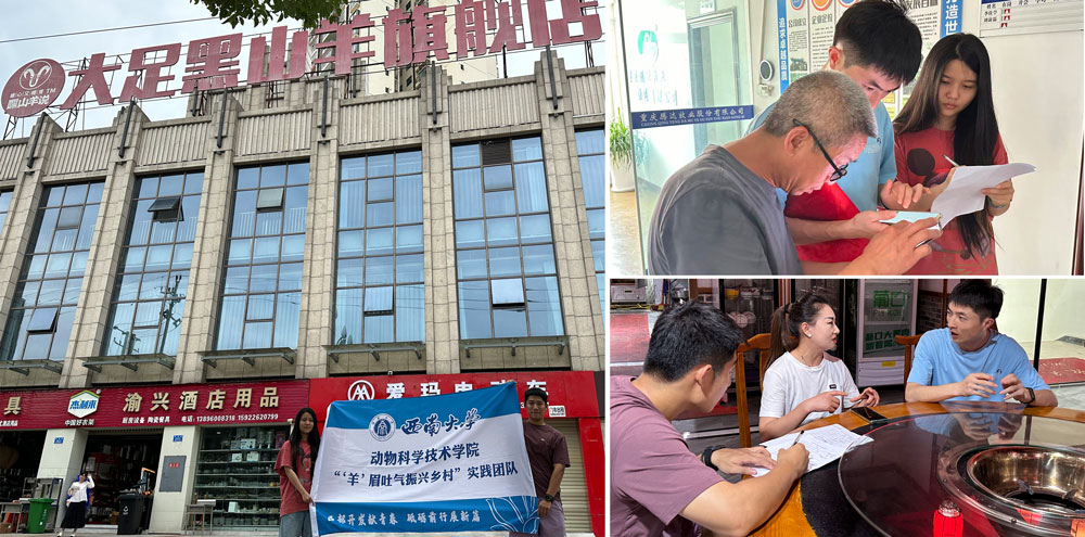 pa视讯官方集团